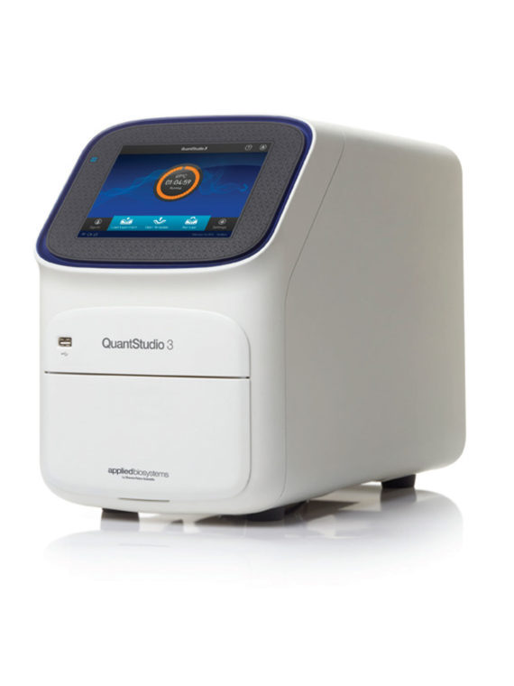 Real Time PCR